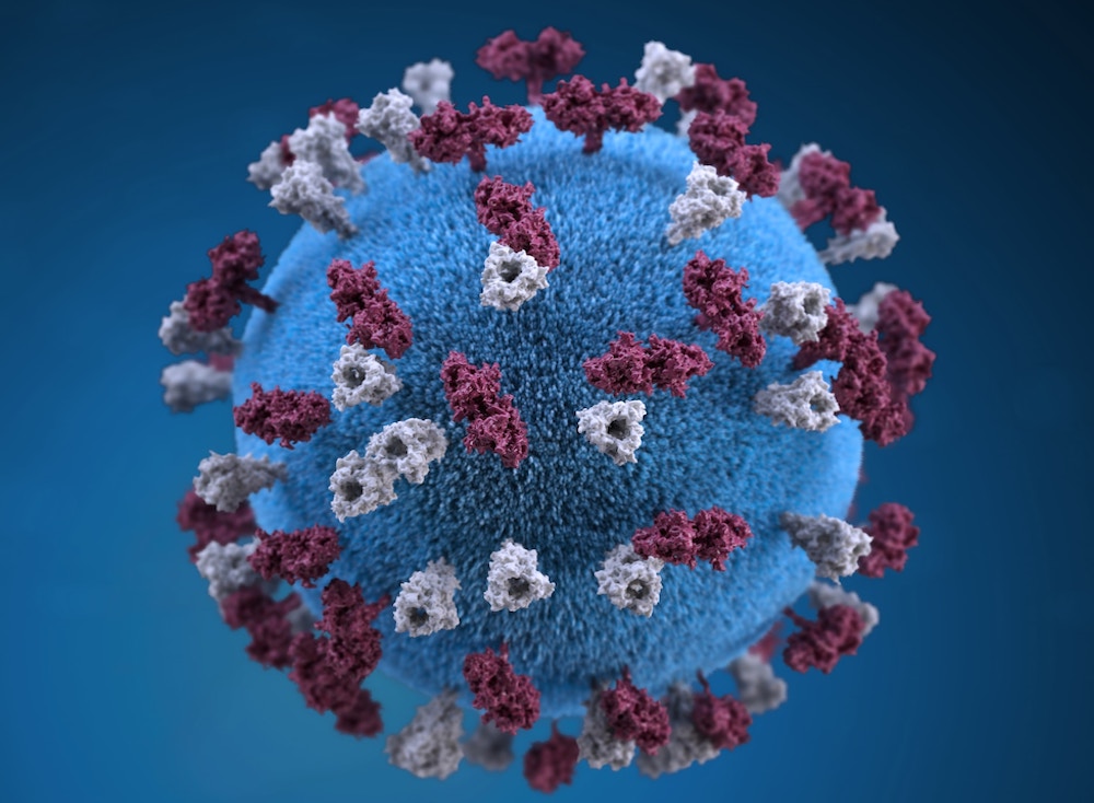 HPV e prevenzione del Carcinoma Anale